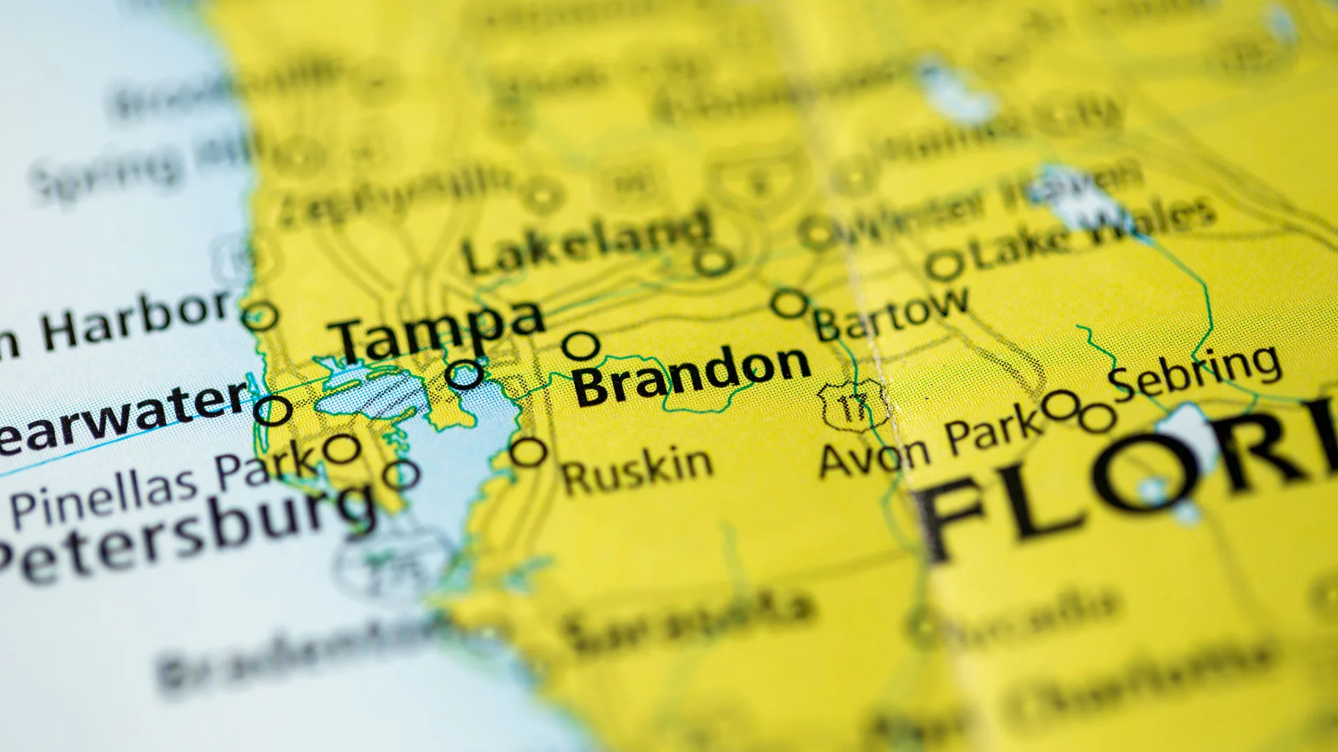 Map of the city of Brandon, FL.
